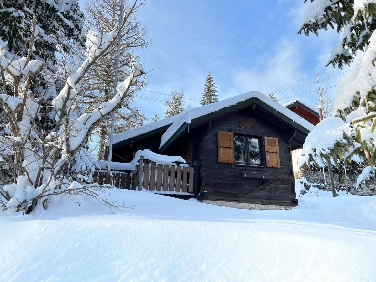 Entire Cozy Chalet In St-Cergue - 30 Min From Geneva سان-سيرغيه المظهر الخارجي الصورة