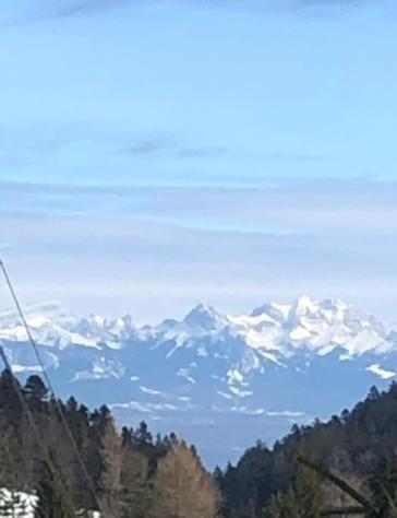 Entire Cozy Chalet In St-Cergue - 30 Min From Geneva سان-سيرغيه المظهر الخارجي الصورة