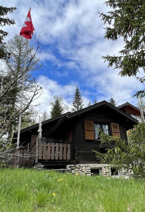 Entire Cozy Chalet In St-Cergue - 30 Min From Geneva سان-سيرغيه المظهر الخارجي الصورة